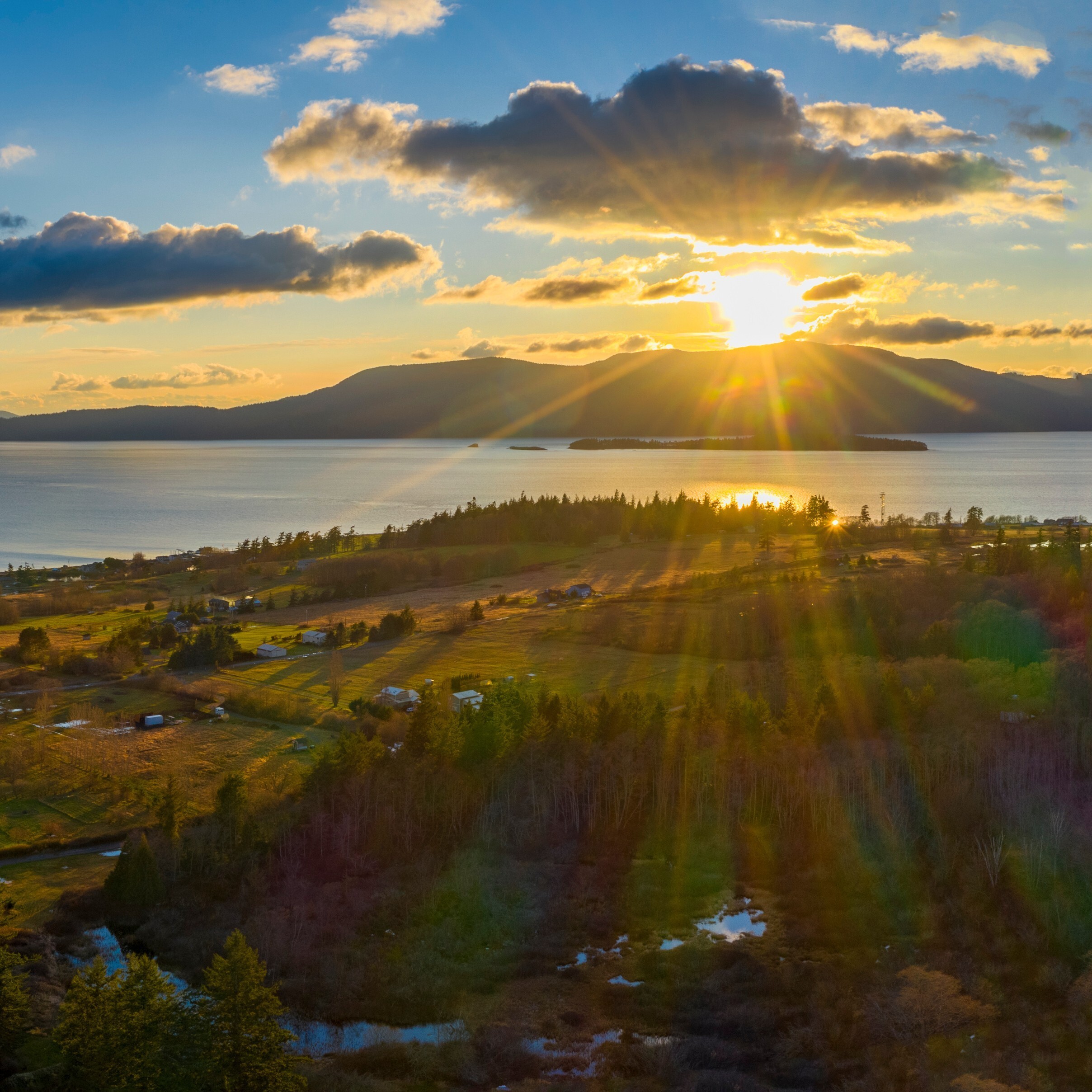 DaBella Celebrates Milestone: 50th Office Opening in Bellingham, Washington 
