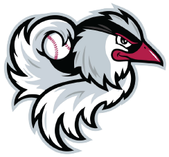 Official Home Improvement Partner of the Idaho Falls Chukars