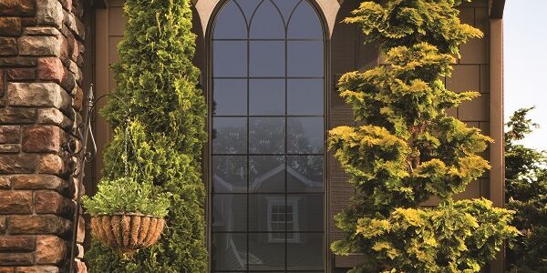 Colonial style window with a black window frame