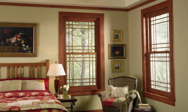 What Are Energy Efficient Windows?
