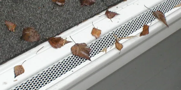 Premier Gutters with gutter covers not letting leaves through.