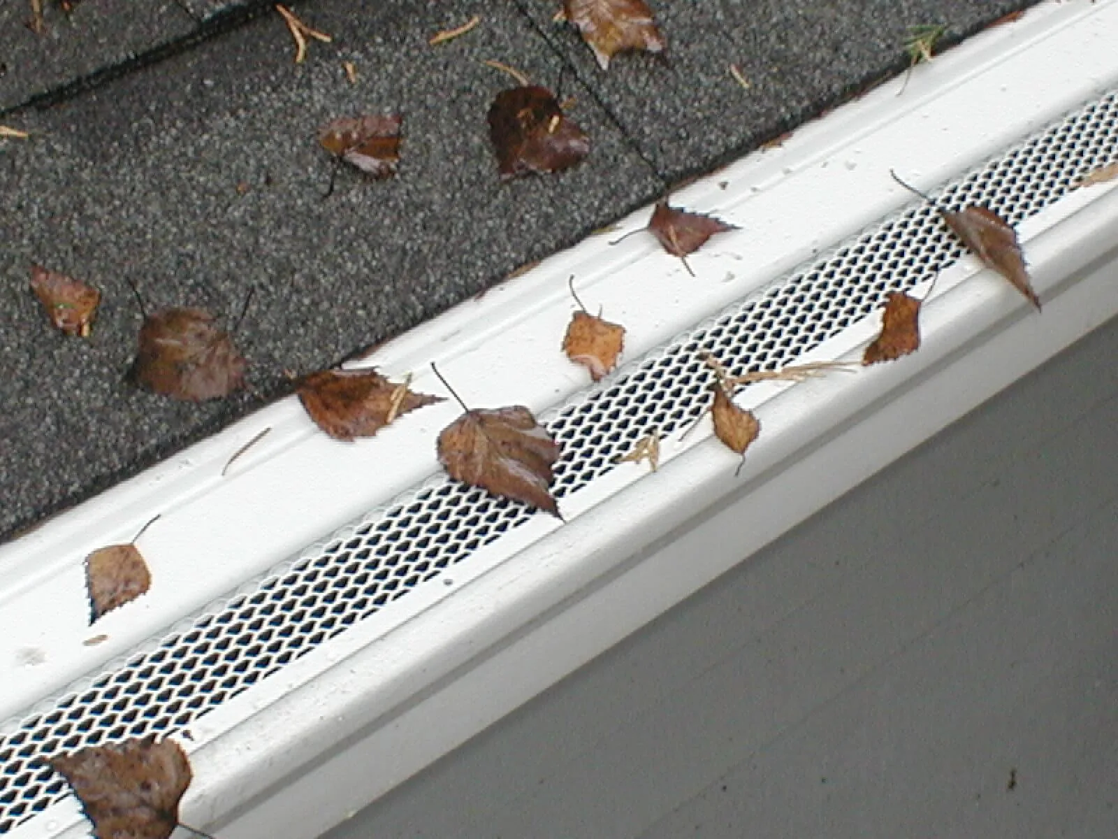Premier Gutters with gutter covers not letting leaves through.