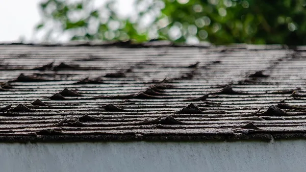 Tejas rizadas que requieren una sustitución del tejado
