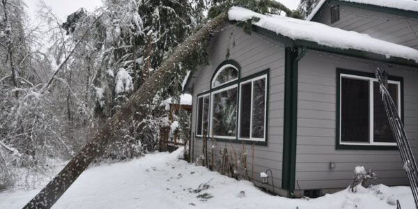 Árbol que cayó sobre la casa durante la tormenta de hielo.