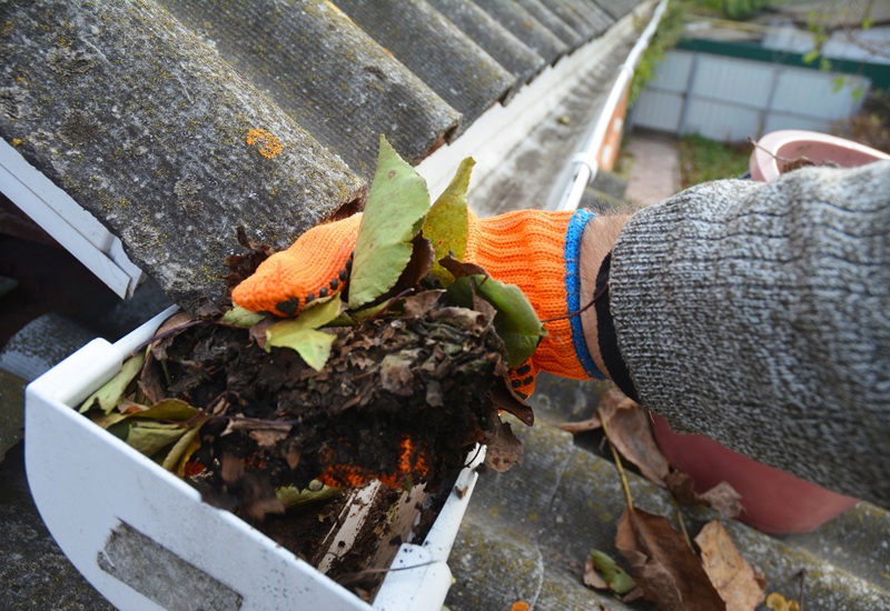 When is the Best Time for Gutter Cleaning? 